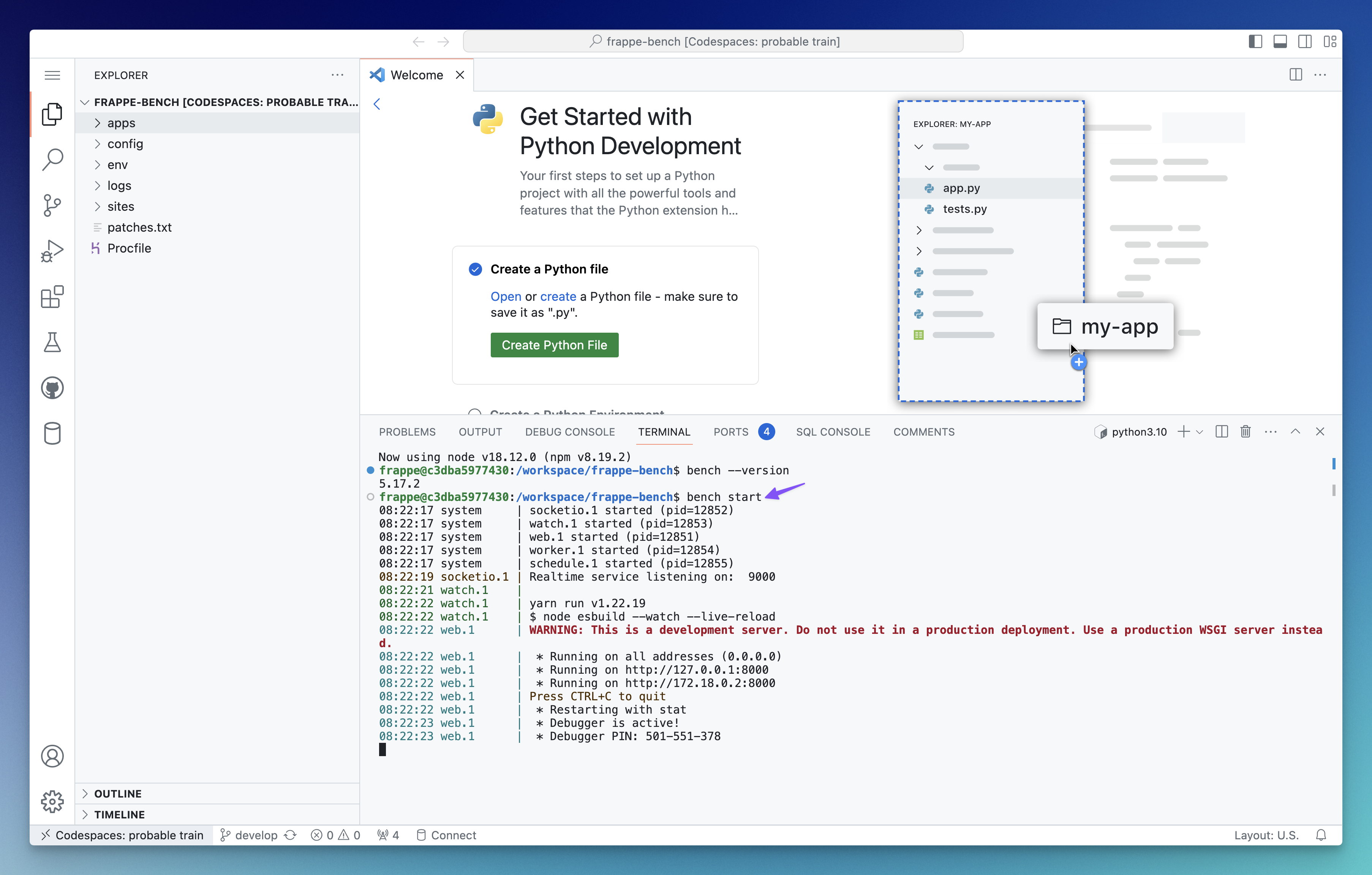 Codespace Terminal Screenshot