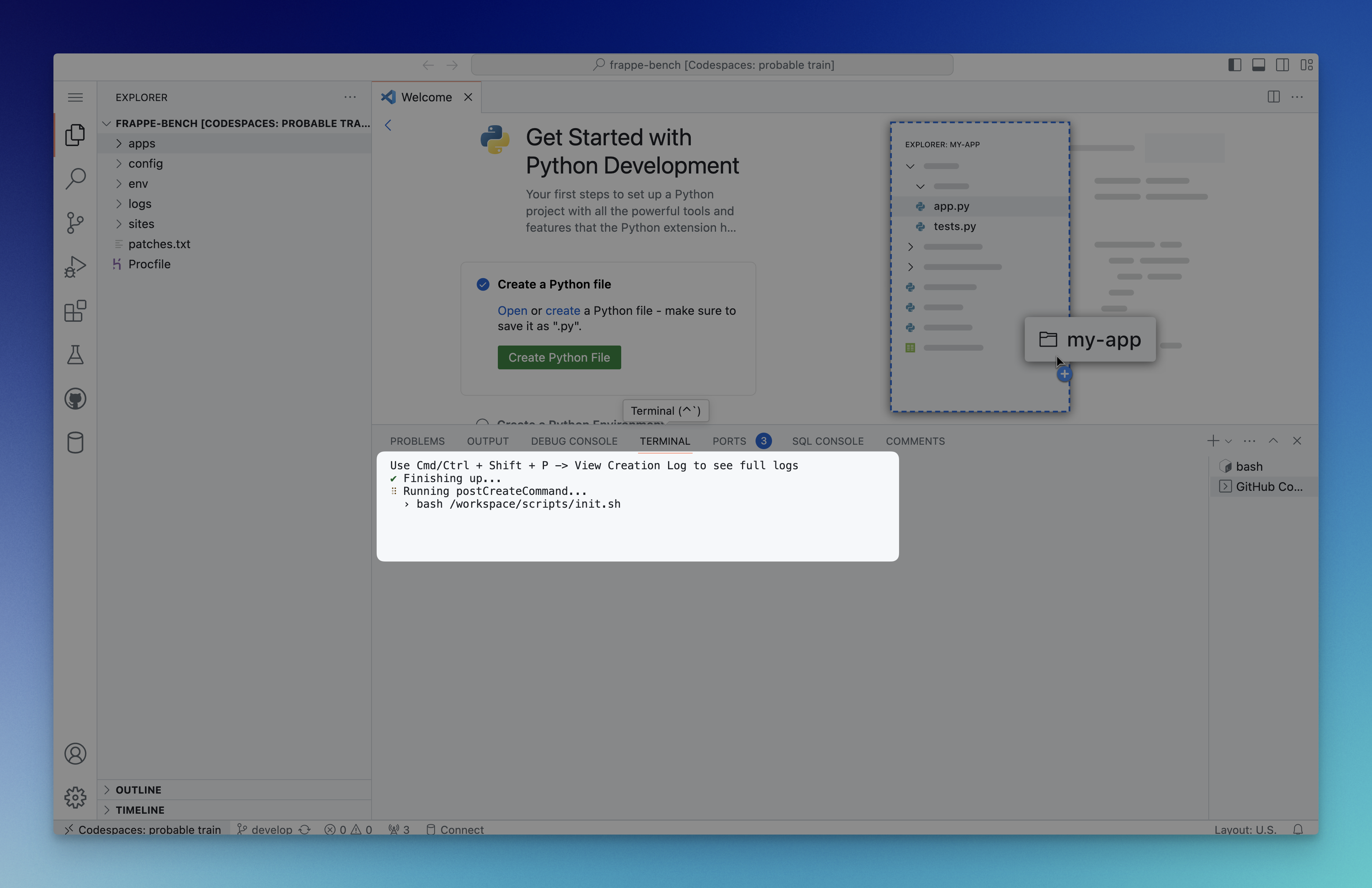 Codespace Init Script