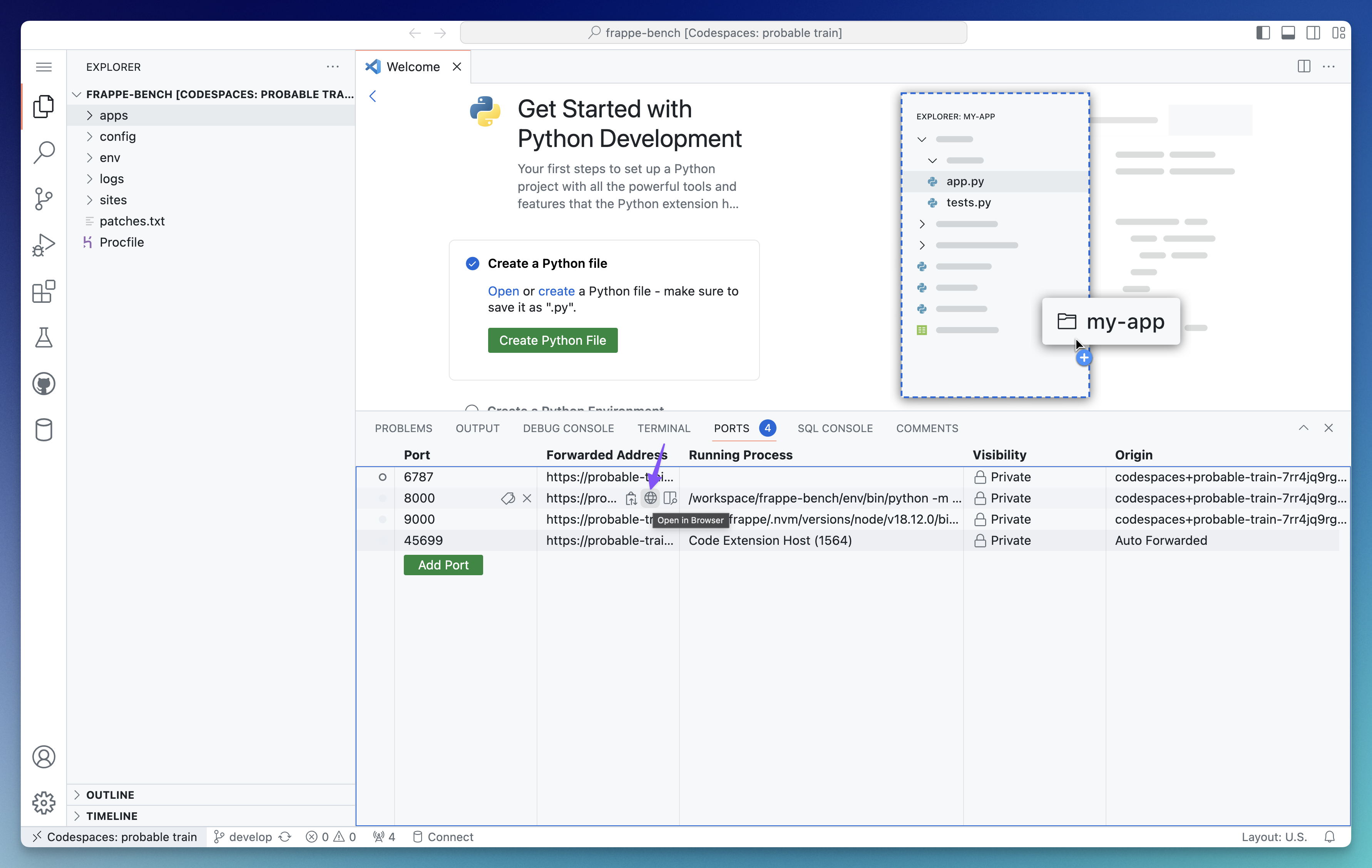 Codespace Ports Tab